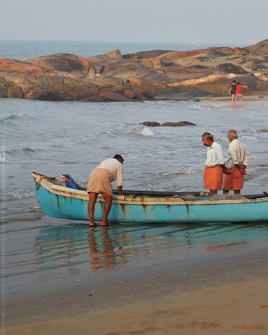  Beaches & Coastal Biodiversity 