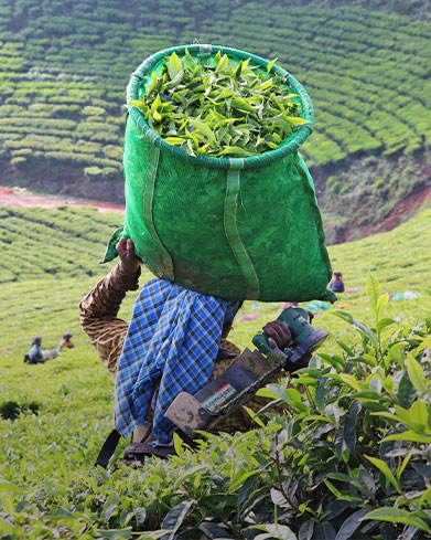  Echoes of the Highlands 