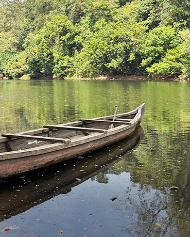  Rivers & Riverine Biodiversity 