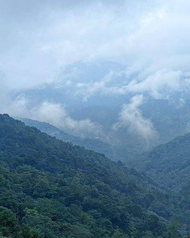  Western Ghat Biodiversity 
