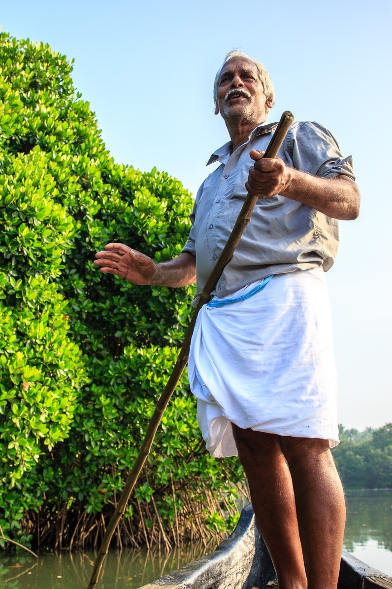 Guardians of the Green